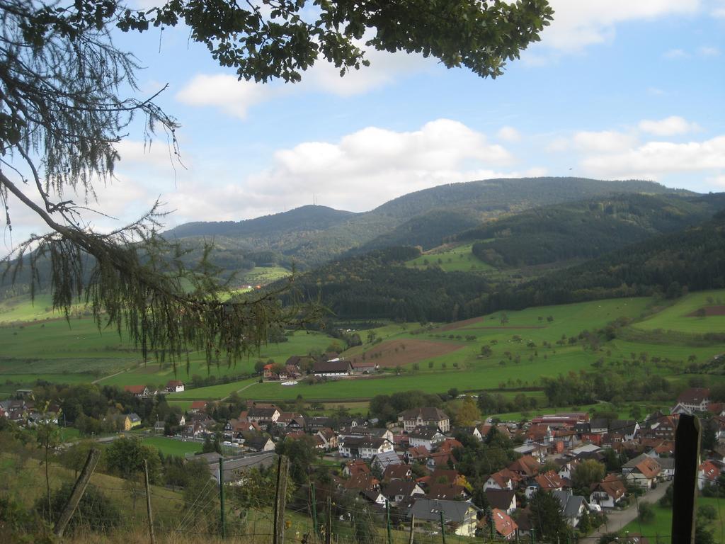 Hotel Haus Gerlinde Zell am Harmersbach Esterno foto